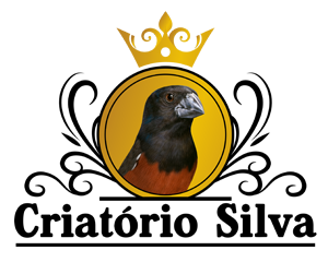 Criatório Silva - Curió Praia Clássico - Riachão/MA